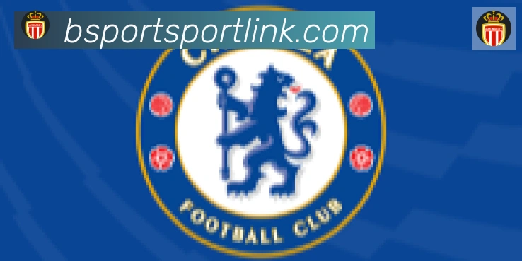 Bsports官网合作伙伴